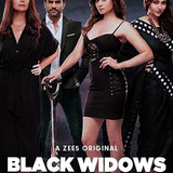 Black Widows (2020)