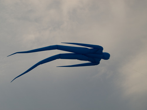 OLYMPUS DIGITAL CAMERA.jpg