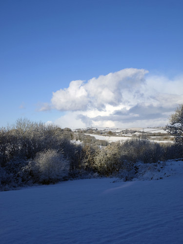 OLYMPUS DIGITAL CAMERA.jpg