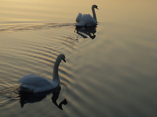 OLYMPUS DIGITAL CAMERA.jpg