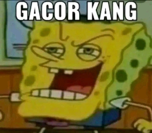 image.jpg