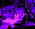 ezgif 2 13bf2e0122.png