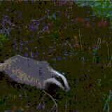 mayra.gif