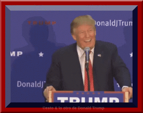 168803486939315779 (2).gif