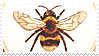 IMG 9393.png