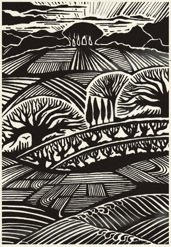 Alto de Mayo label.jpg