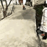 一个敢开一个敢坐.gif