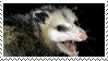 IMG 9410.png