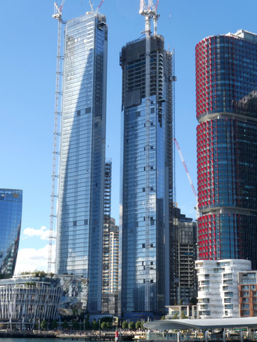 P1000639.jpg