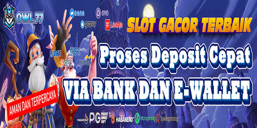 banner 1 owl RESIZE.jpg