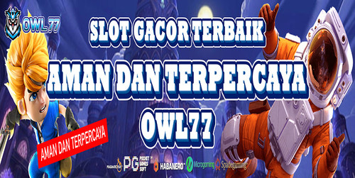 banner 2 owl RESIZE.jpg