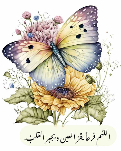 644A79D5 EBE0 467A BB60 E6522EE46A16.jpg