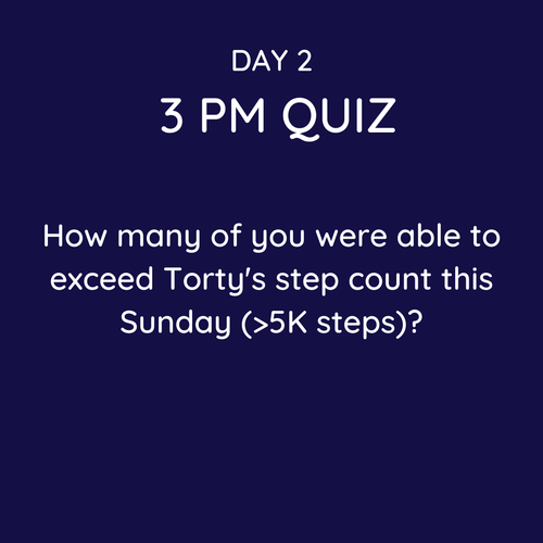 quiz repository (11).png