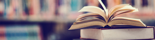 lighhouselearning banner (1).jpg