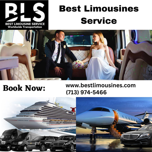 Best Limousines Service (1).png