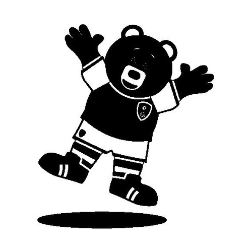 Rotherham United Miller Bear Jumping 2x2.jpg
