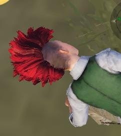image.jpg