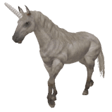 unicorn.gif