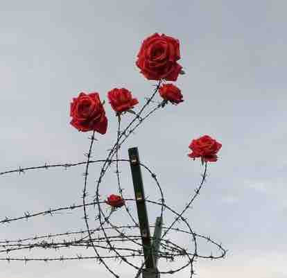 4EB2C112 31E7 4D9E 8F7E 05CE8AF35F33.jpg