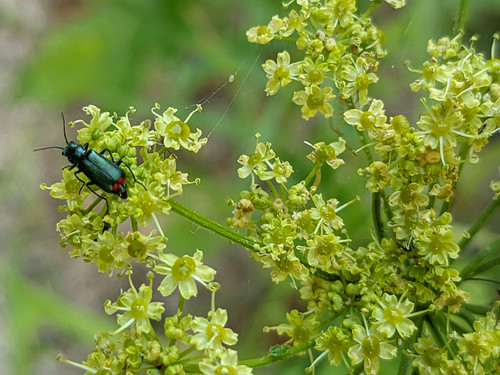 PXL 20230704 2.PORTRAIT