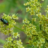 PXL 20230704 2.PORTRAIT