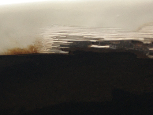 IMG 1269.jpg