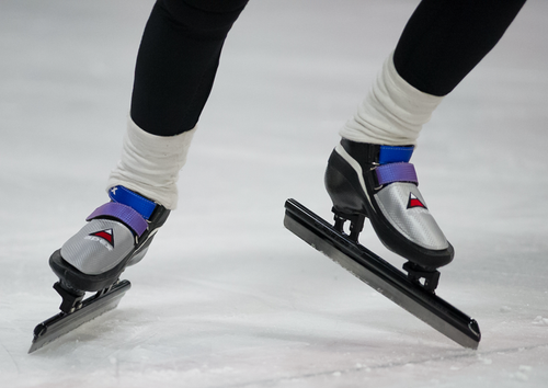 SPEED SKATE GLOVES.png