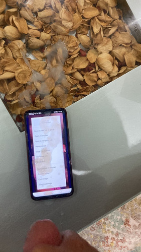 IMG 20230705 WA0006.jpg