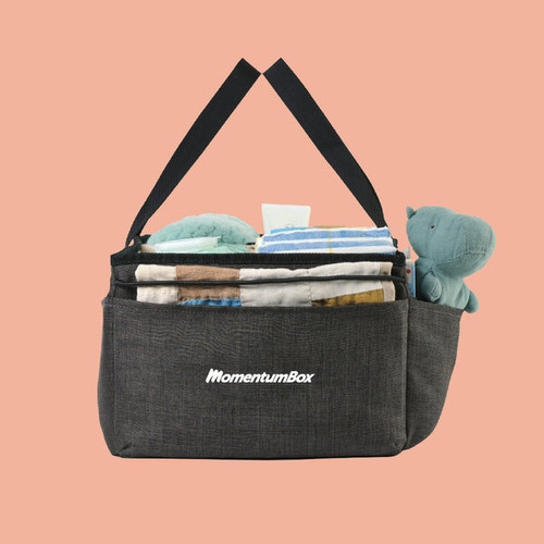 23 MomentumBox ReaganOrganizationalCaddy.jpg