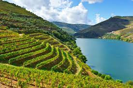 Douro Background.jpg