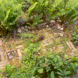 belki.gif