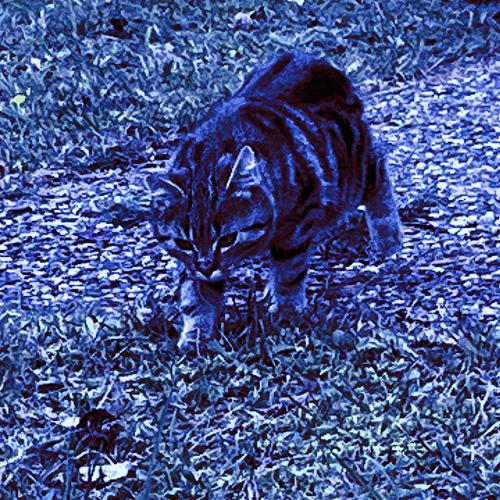 IMG 2021.png