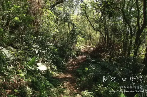 20130803 096