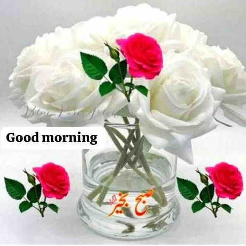 366445A5 8010 4C59 83B4 FA374BAEF0E3.jpg