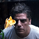 A1.gif