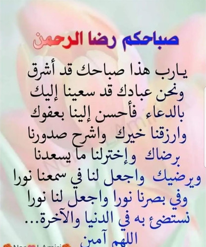 IMG 20230626 WA0008.jpg