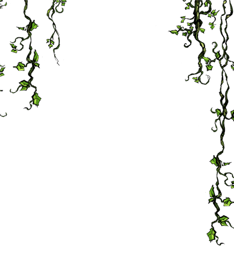 pngfind.com vine border png 1067607 (1).png