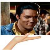 2919559i0BlrbtQ.png