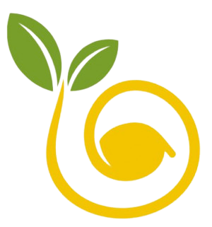 2qT0UvbEXYbobgB8rstdnZFlFpCZ4WwpRuEobGyG removebg preview.png