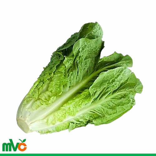 16E5B568 DD0A 4920 89B7 9B779831D738.jpg