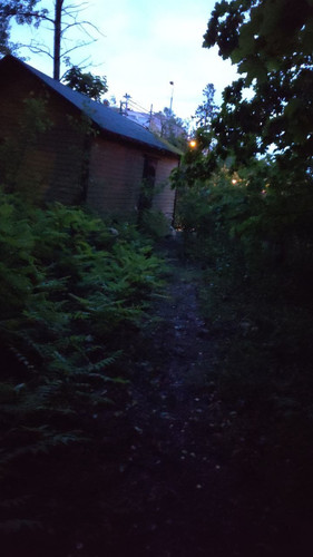 photo 2023 07 04 04 00 40.jpg