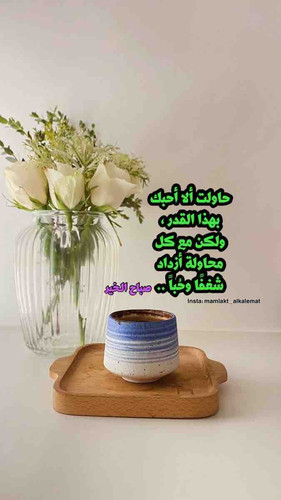 06907A8D 92EA 46D1 A35C 97E53A507779.jpg