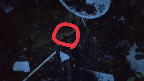 photo 2023 07 04 04 00 24.jpg