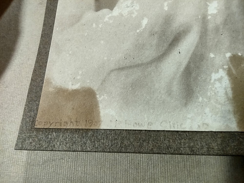1688431957605.jpg