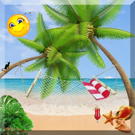 oie overlay (1).gif