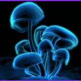 329440sH2QUAa.gif