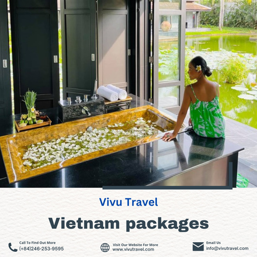 Vietnam packages.png