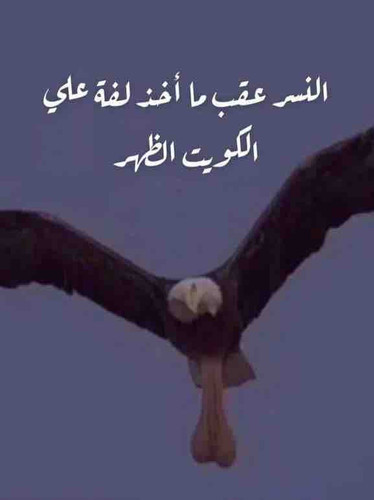 FB53B03D B9B9 4085 90D1 54BA5A3FA601.jpg
