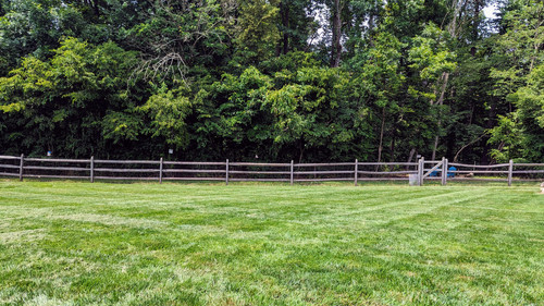 PXL 20230702 180309623.jpg