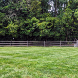 PXL 20230702 180309623